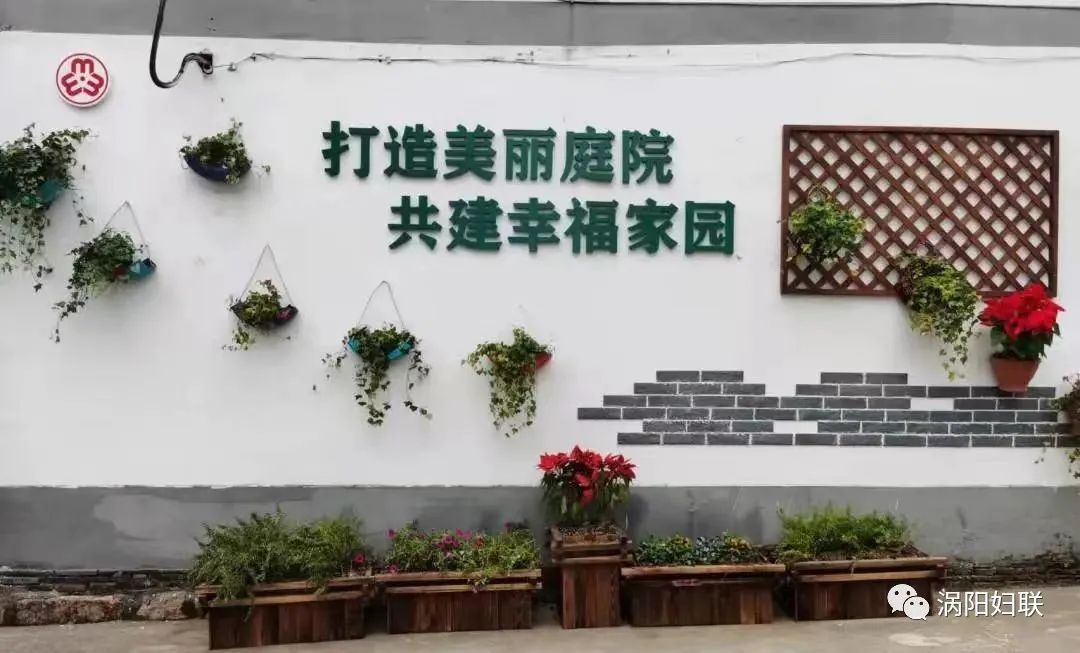 涡阳县创建美丽庭院行动倡议书