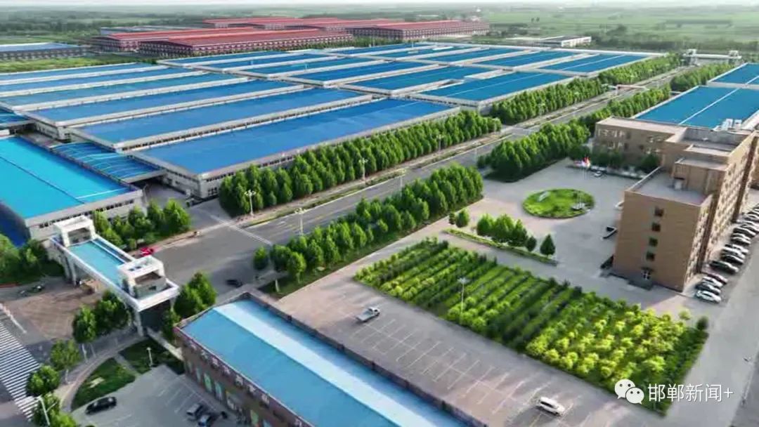 河北康贝尔中国北方最大的马大姐