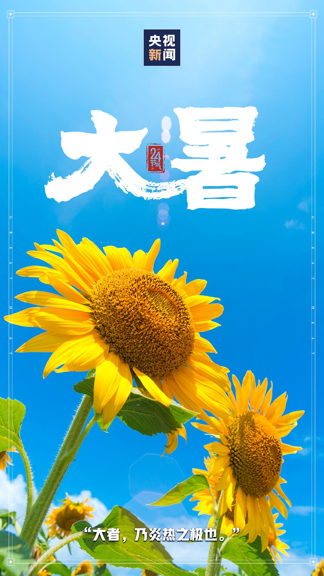 大暑节气图片大全唯美图片