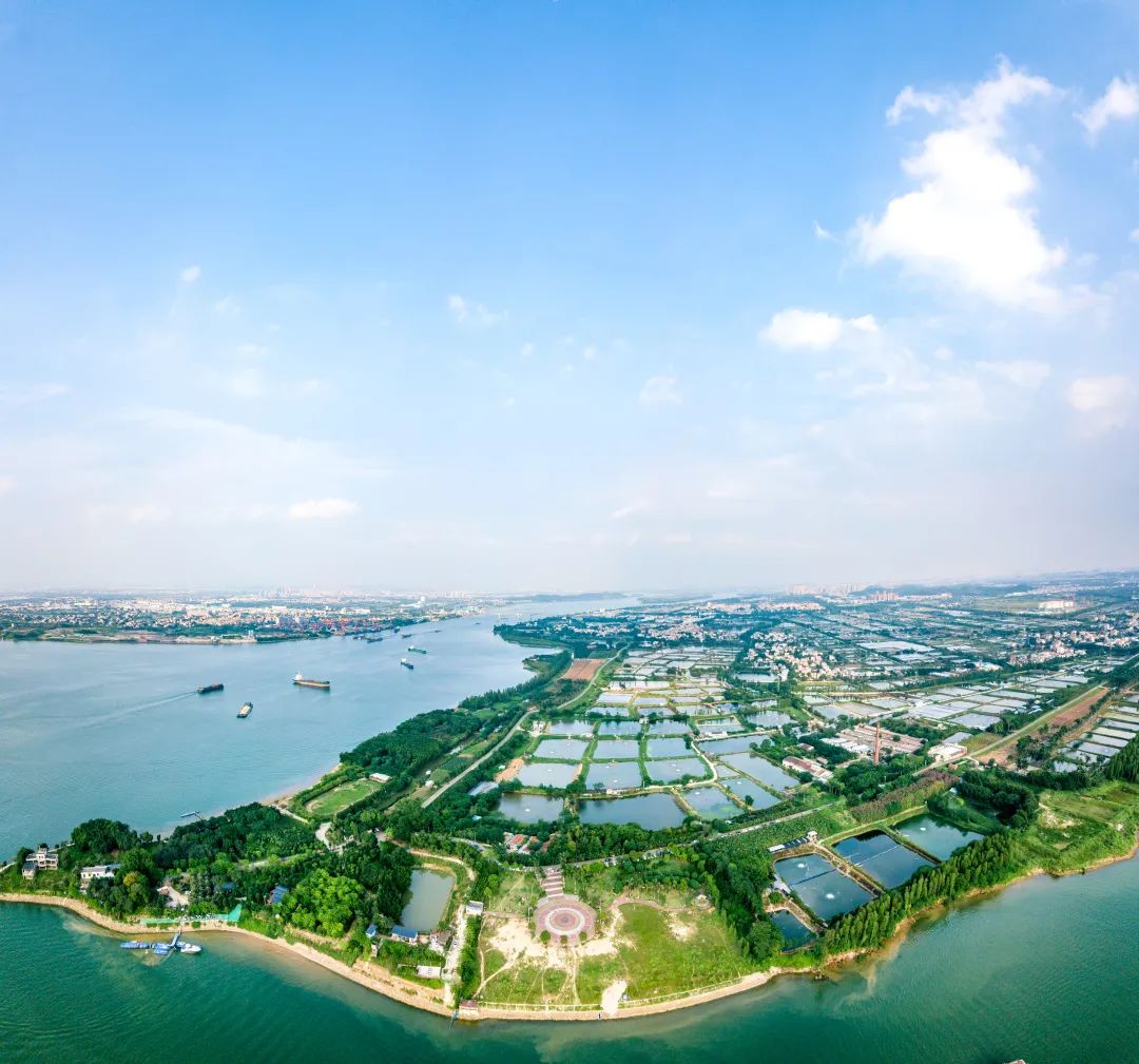 夏日的佛山丨均安有一首动听的落霞之歌