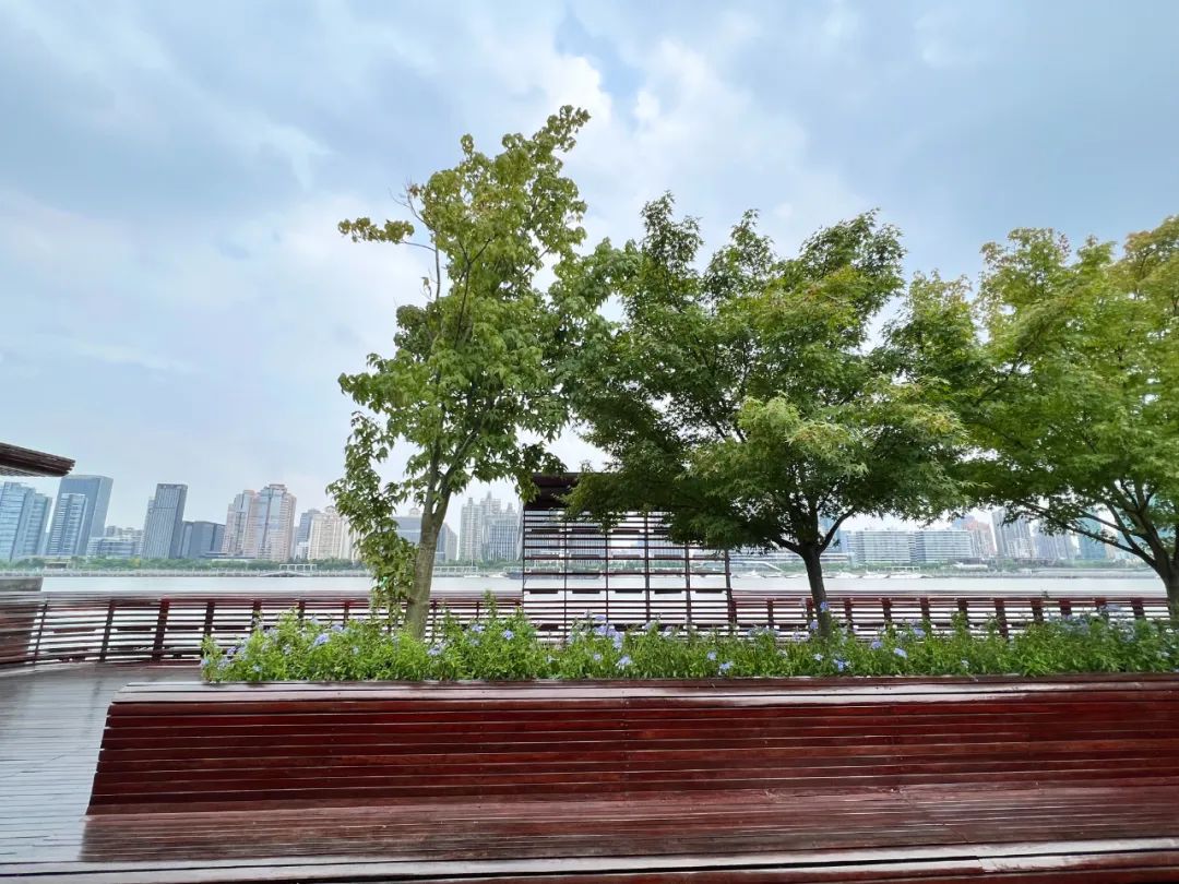 在杨浦滨江邂逅缤纷盛夏靓丽风景背后离不开他们