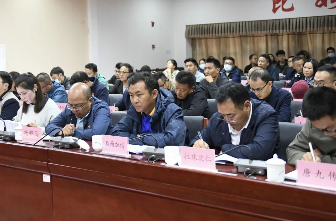 李成统主持召开第十四届苏毗娜秀文化旅游艺术节推进会