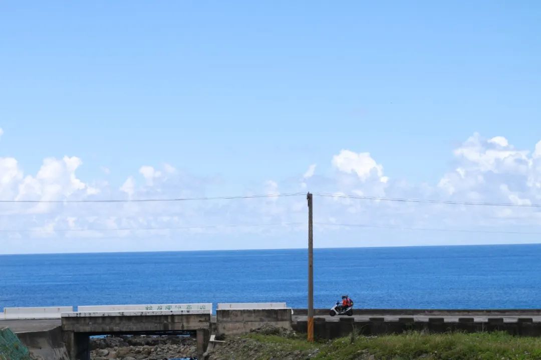 在夏天怀念夏天