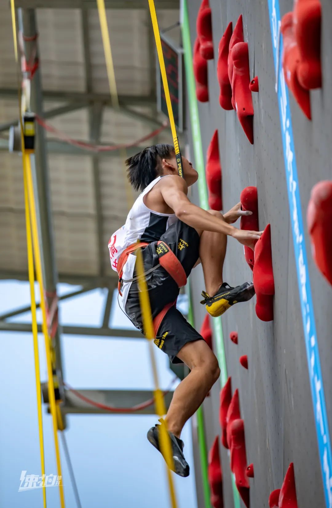 澎湃号>网信日照>本届省运会首次将攀岩运动列入比赛项目,充分体现了