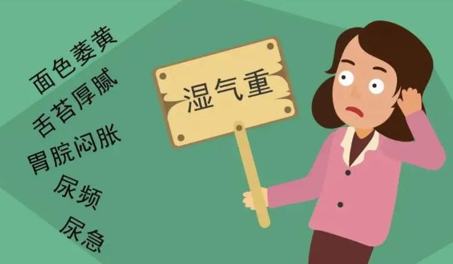 金小鸥讲健康湿气不除百病生中医除湿有妙招