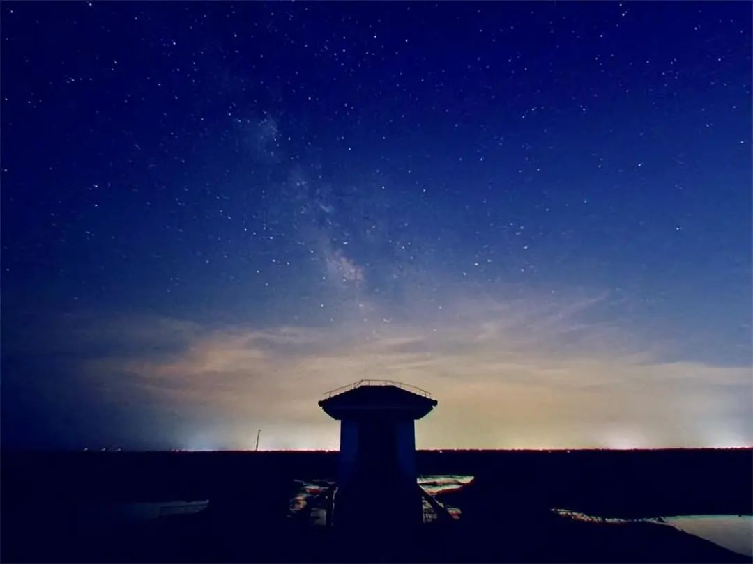 震撼盐城追星人拍了一组野鹿荡星空大片
