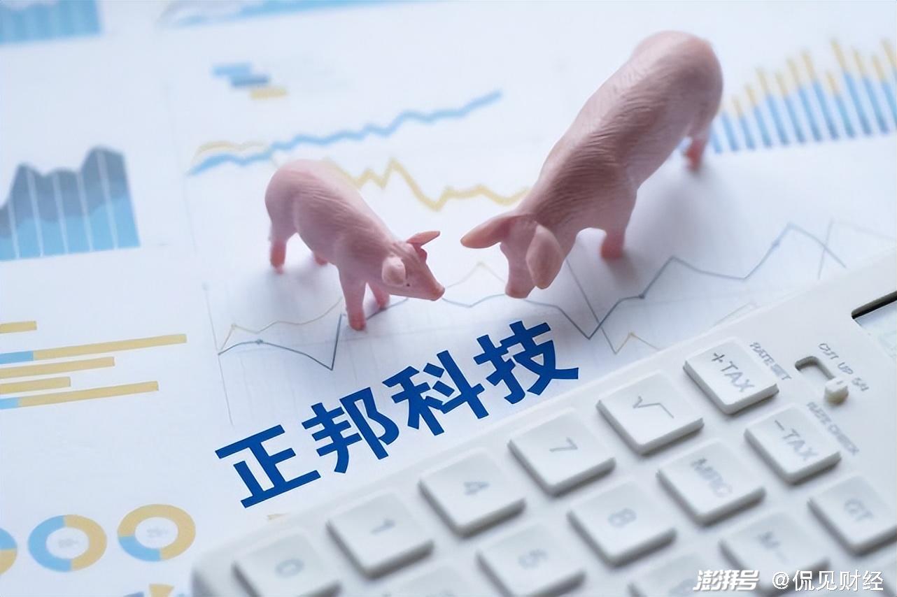 断料导致猪吃猪正邦科技会成为下一个雏鹰农牧吗