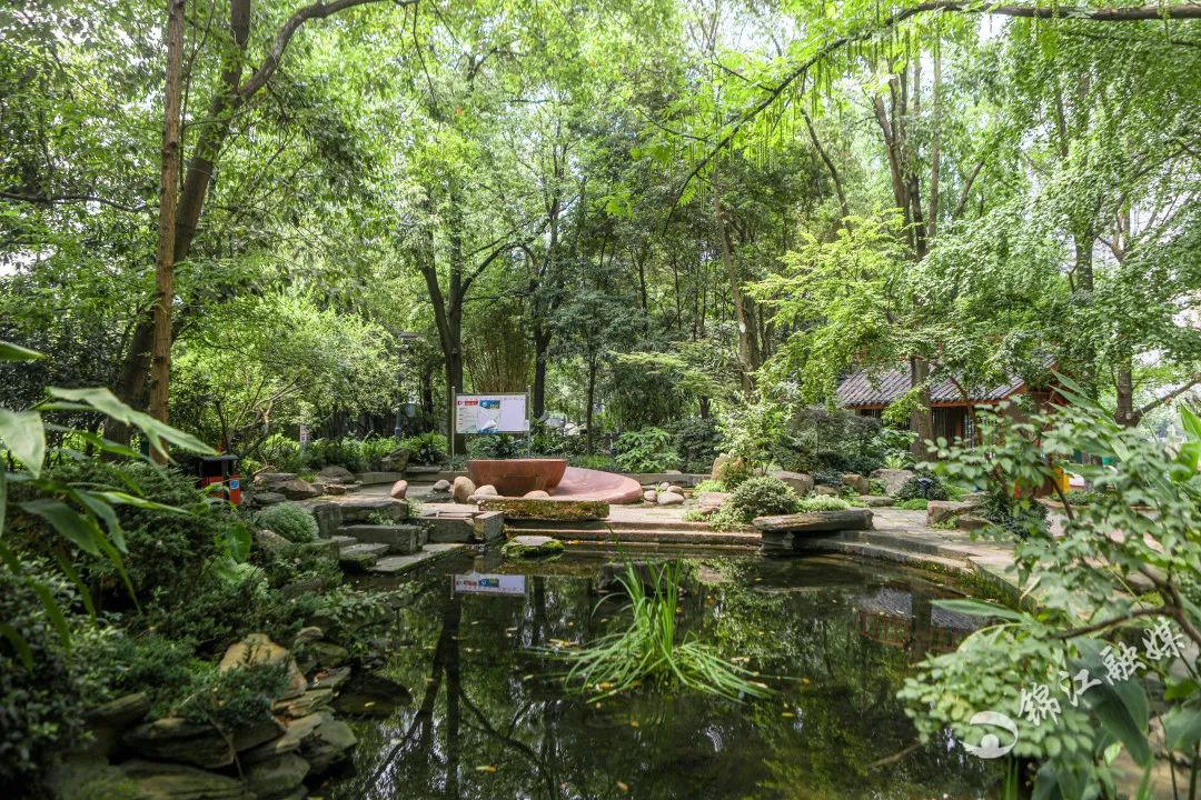成都活水公园新颜呈现:天然净水器 植物博物馆