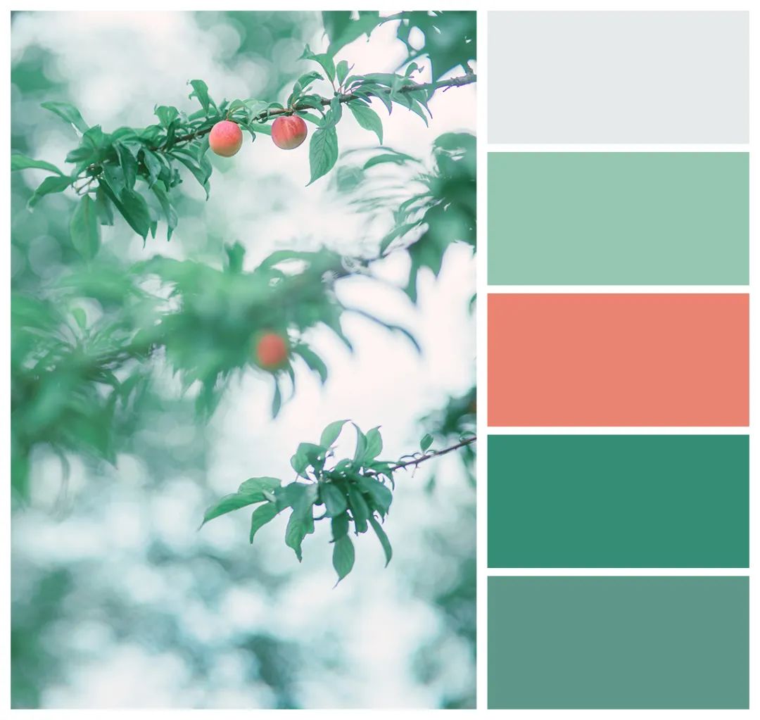 用色卡的方式打开天大夏日