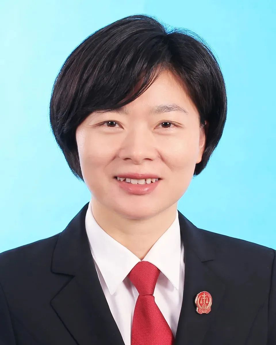 学榜样树先锋全国双百政法英模黄文娟滞留湖北坚持在线办案