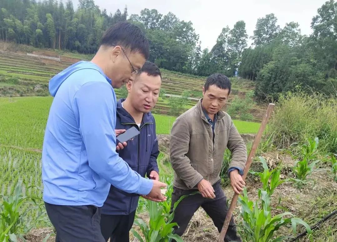 最美乡村振兴工作者地勘中心罗小文服务基层守初心倾情帮扶担使命