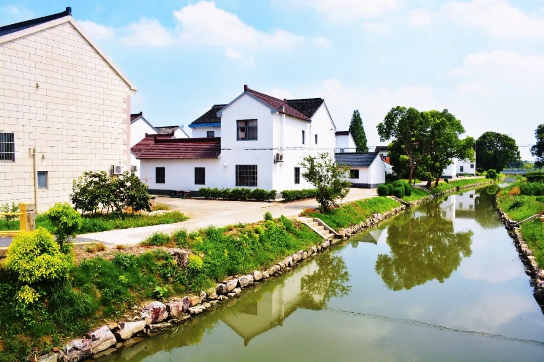 练塘这个村人居环境大提升乡村颜值再提靓