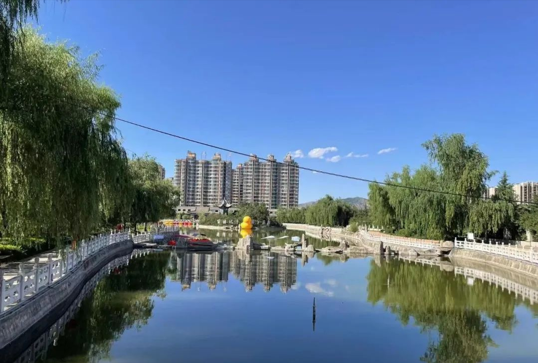 游动东郊公园的景色依旧静候疫情散去等你回来来源:临夏市文旅之声