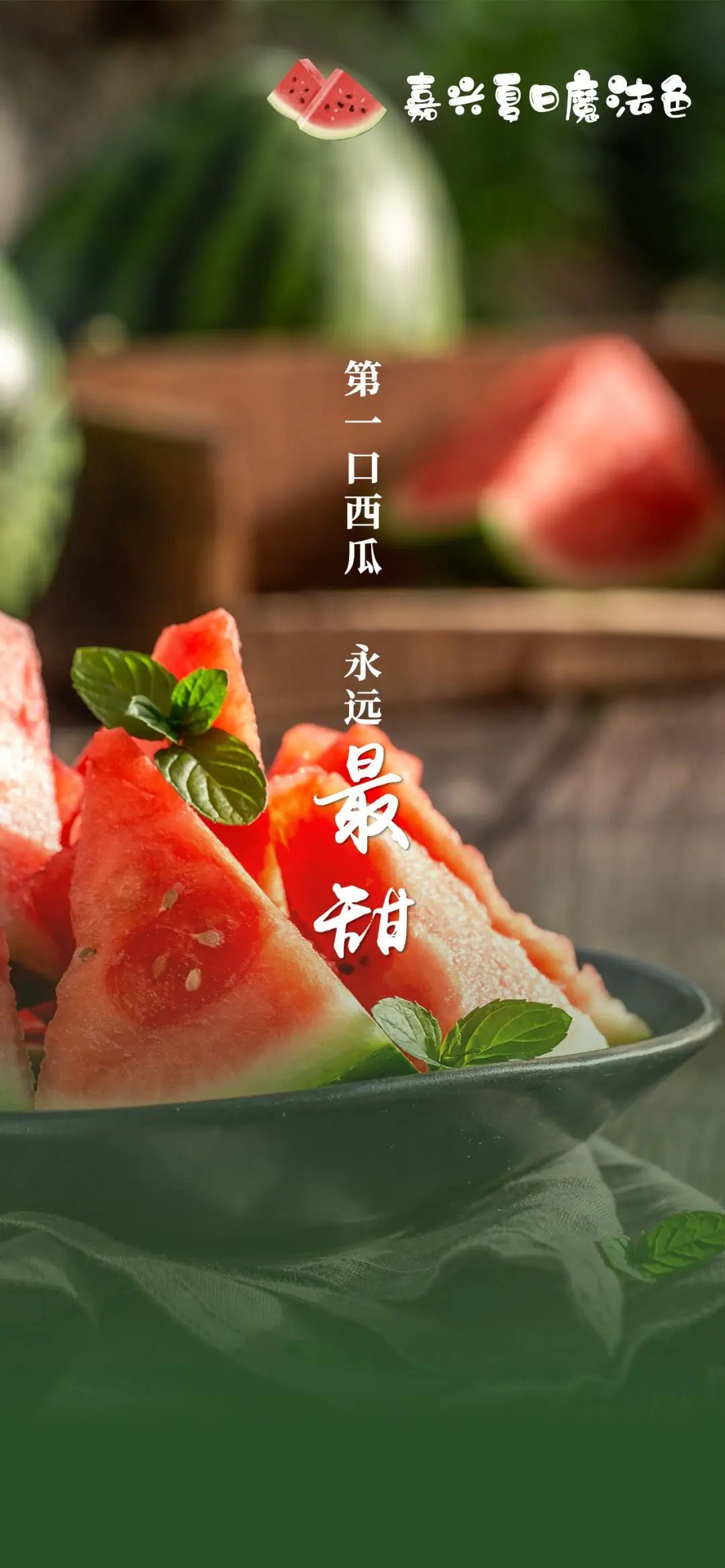 解暑海报来一波!看完好想在嘉兴过夏天