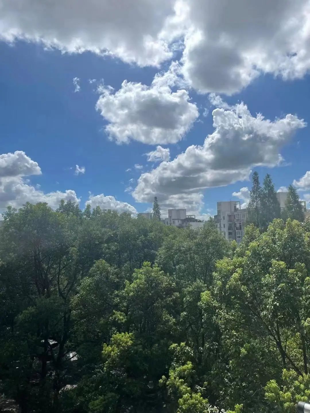 你的朋友圈被"棉花糖天空"刷屏了吗?