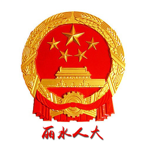 人大代表之家logo图片