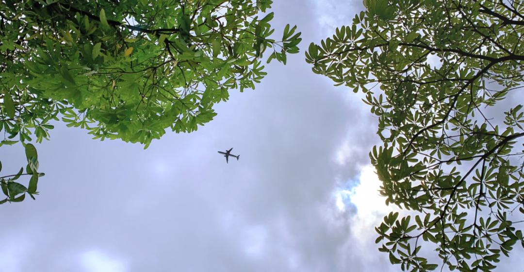 广州白云飞翔公园图片图片