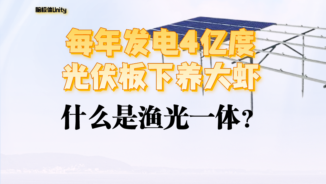 魚塘立光伏,每年多賺十倍?
