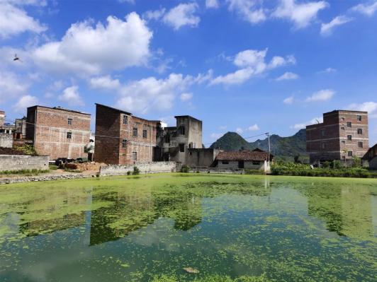 托举生命的力量记武宣县桐岭镇和睦村见义勇为道德模范周世惠