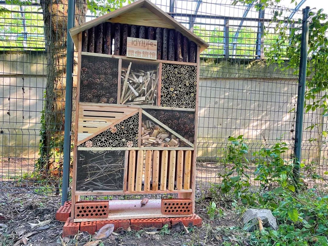 辰山植物园首座大型昆虫旅馆正式开业迎客