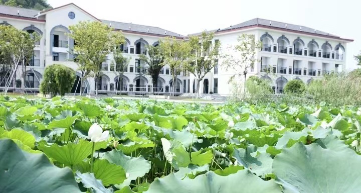 绍兴市春晖中学图片