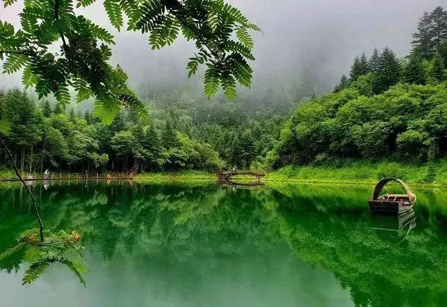 陇南风光 | 官鹅沟:一季一风景