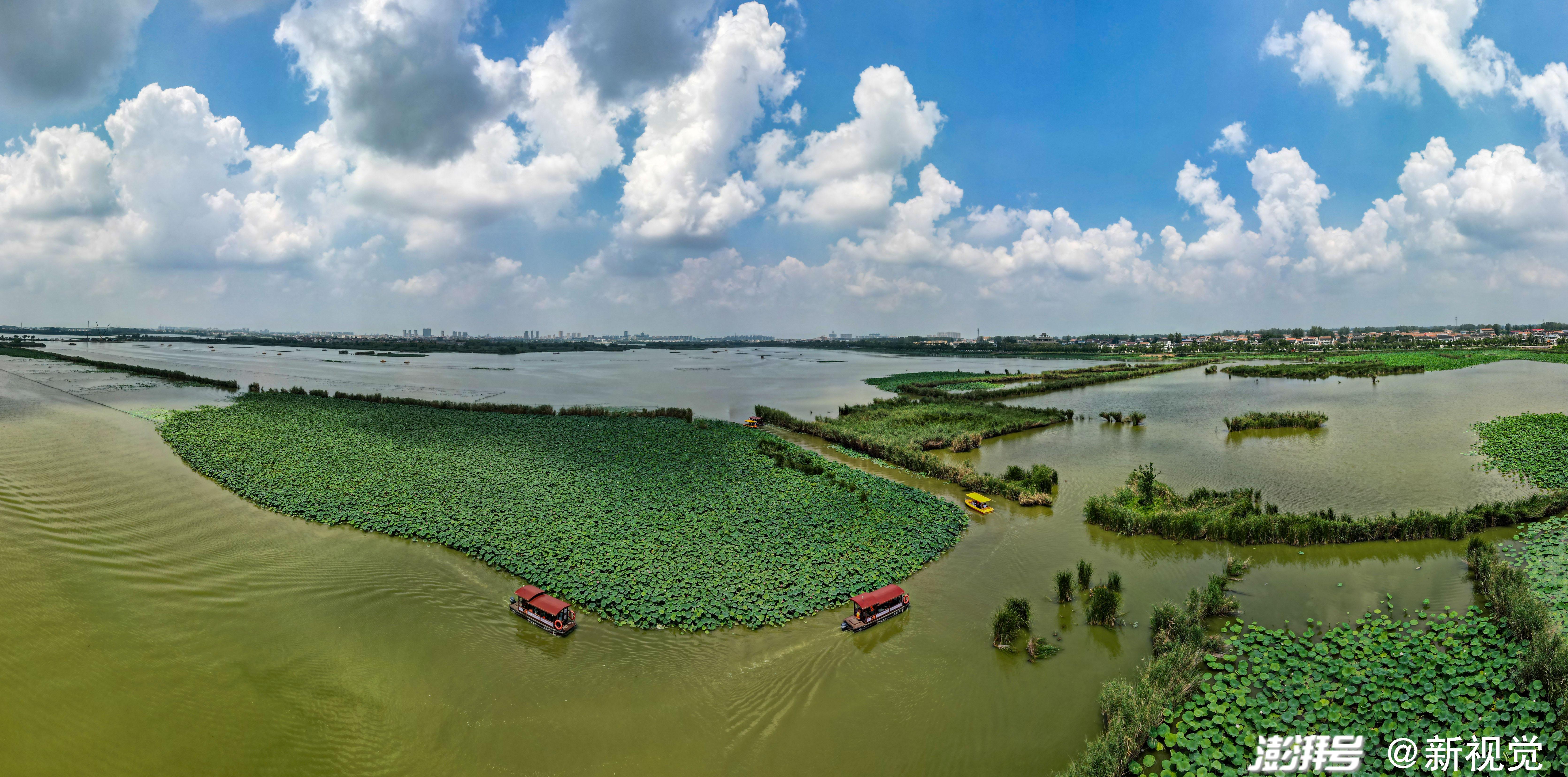 淮阳龙湖湿地公园图片