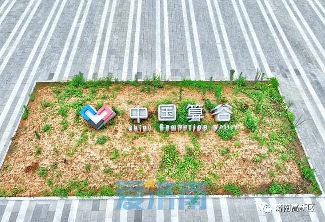 济南算谷产业园主体已封顶2023年上半年有望投入使用