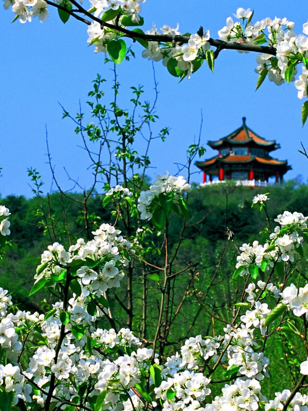 “最忆江城”吉林市文旅IP丨文化名山 —— 北山风景区