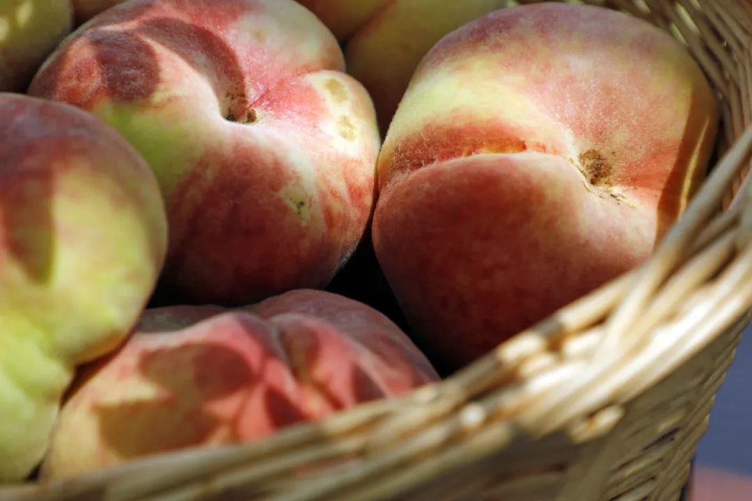 平均糖度19度的金山皇母蟠桃上市了量少质优价格在