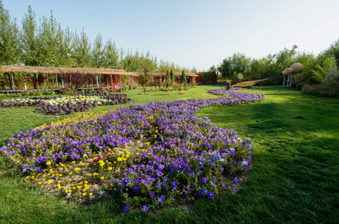 盛夏时节金昌植物园避暑纳凉好去处