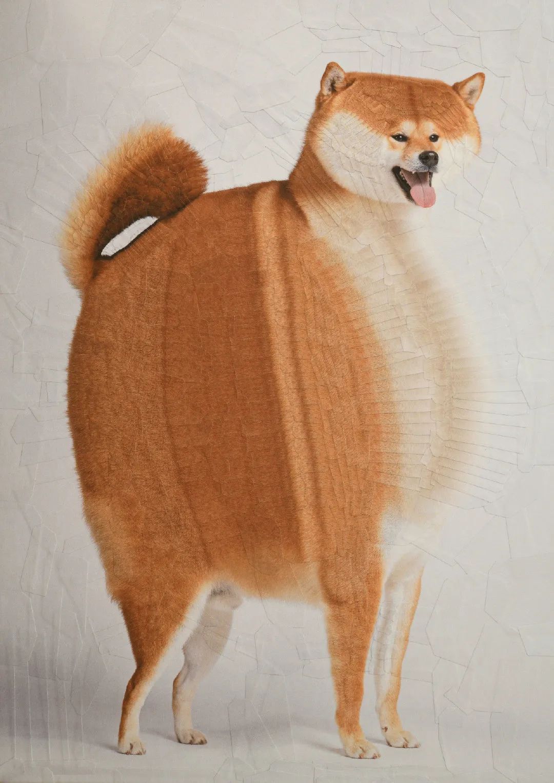 柴犬画像突然走红，又是哪个网友恶搞PS？