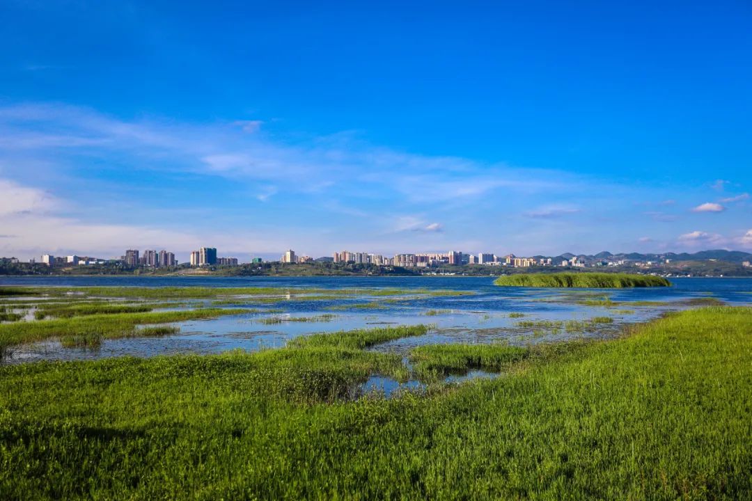 七夕节威宁草海北坡共赴浪漫约会