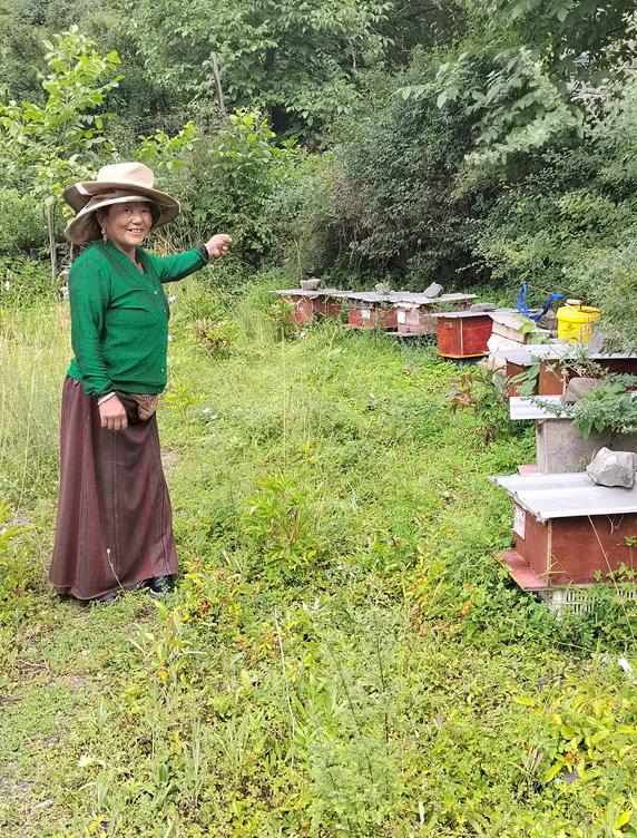 国家级阿坝蜜蜂保种场图片