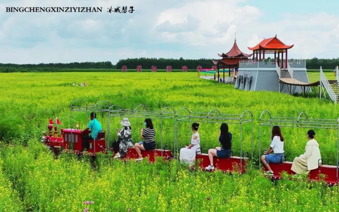 旅发进行时大庆夏行林源小镇油菜花开的美丽乡村