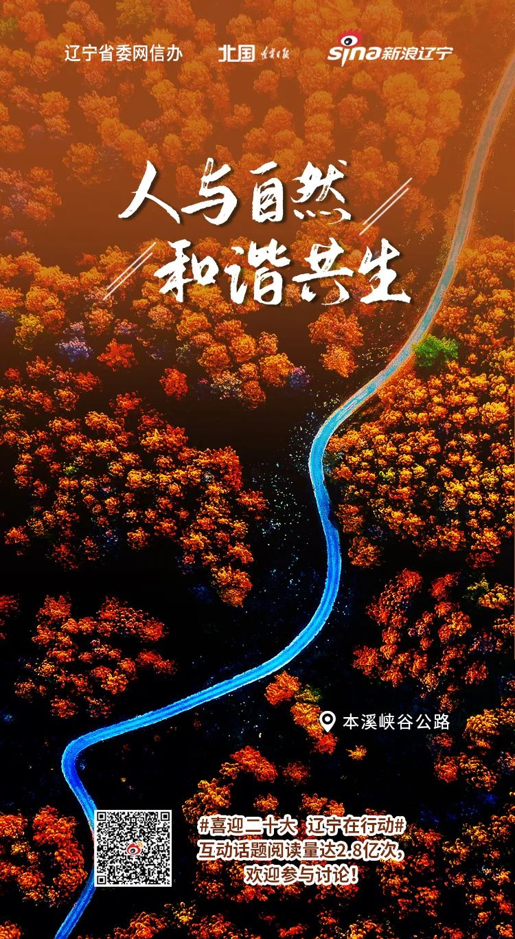 美丽辽宁公益宣传海报_媒体_澎湃新闻-the paper