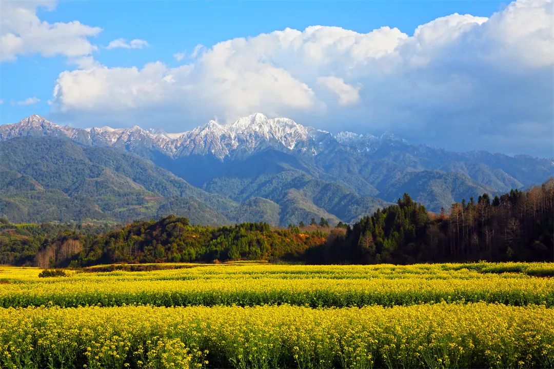 图说界头中国最美田园风光