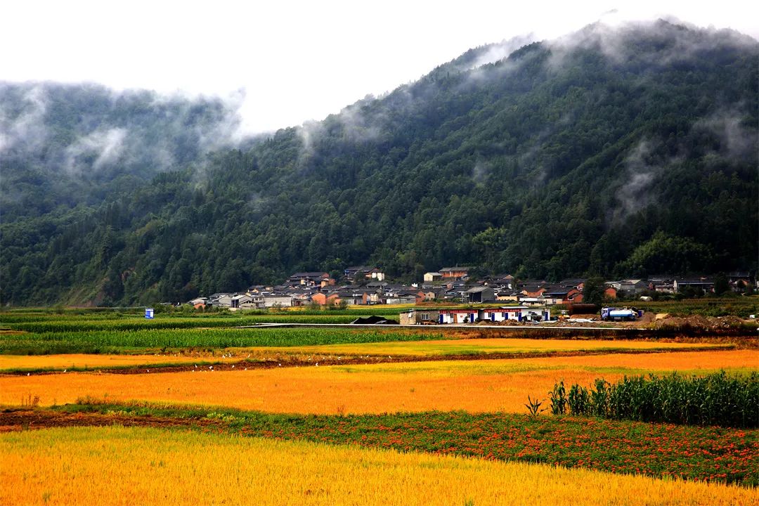 图说界头中国最美田园风光