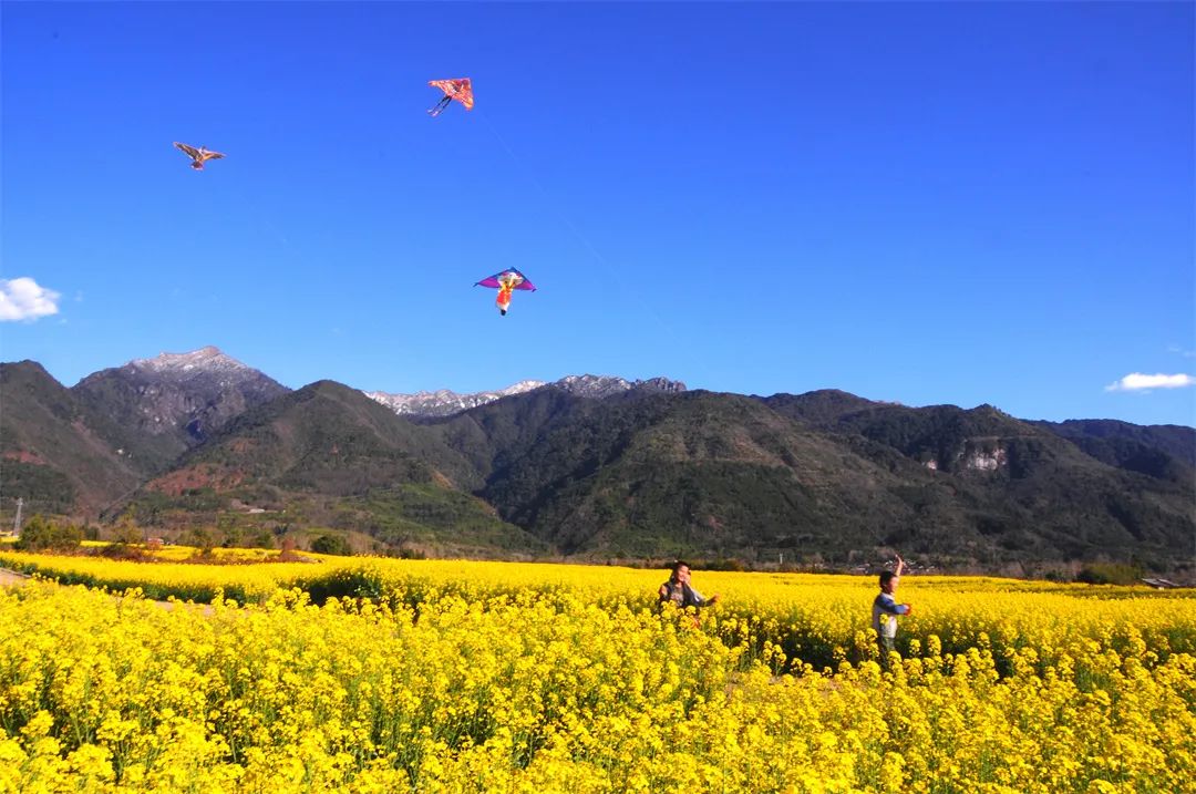 以乡村旅游休闲,观光为核心脉络,充分挖掘产业,山水,田园,民居等潜在
