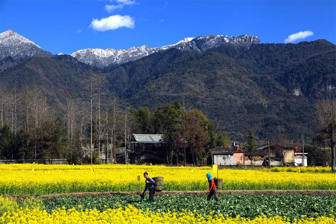 图说界头中国最美田园风光