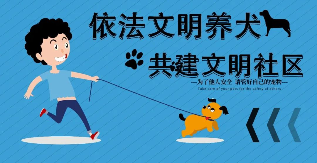 文明城区十大行动嘉定警方全面开展文明养宠宣传引导行动