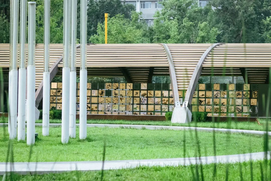 与你一起感受北林校园的浪漫