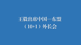 王毅出席中国—东盟（10+1）外长会