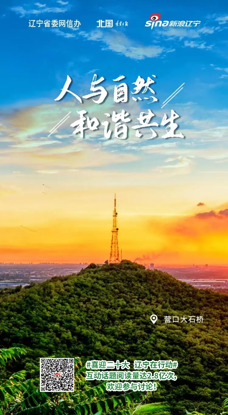 美丽辽宁公益宣传海报_媒体_澎湃新闻-the paper