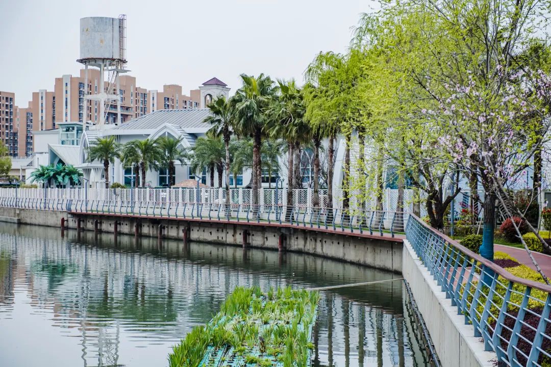 漕河泾港-龙华港,市管河道,徐汇区域内河道全长约7.