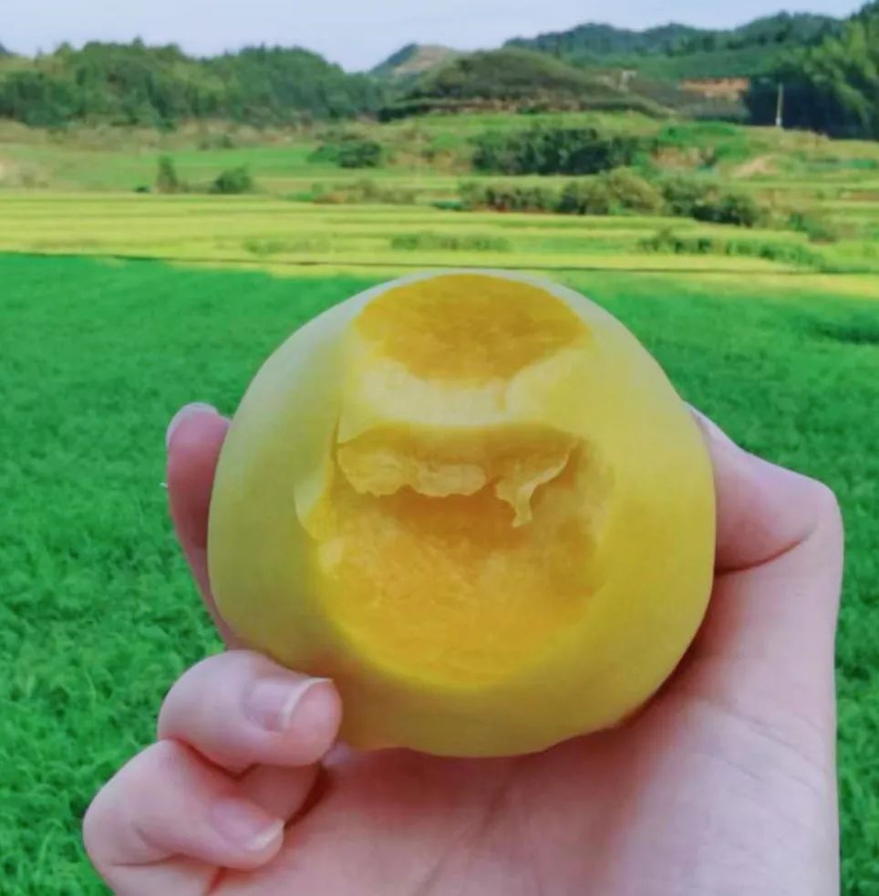 最后三天,建宁果园直供精品黄桃!顺带围观"食验室"同台首秀!