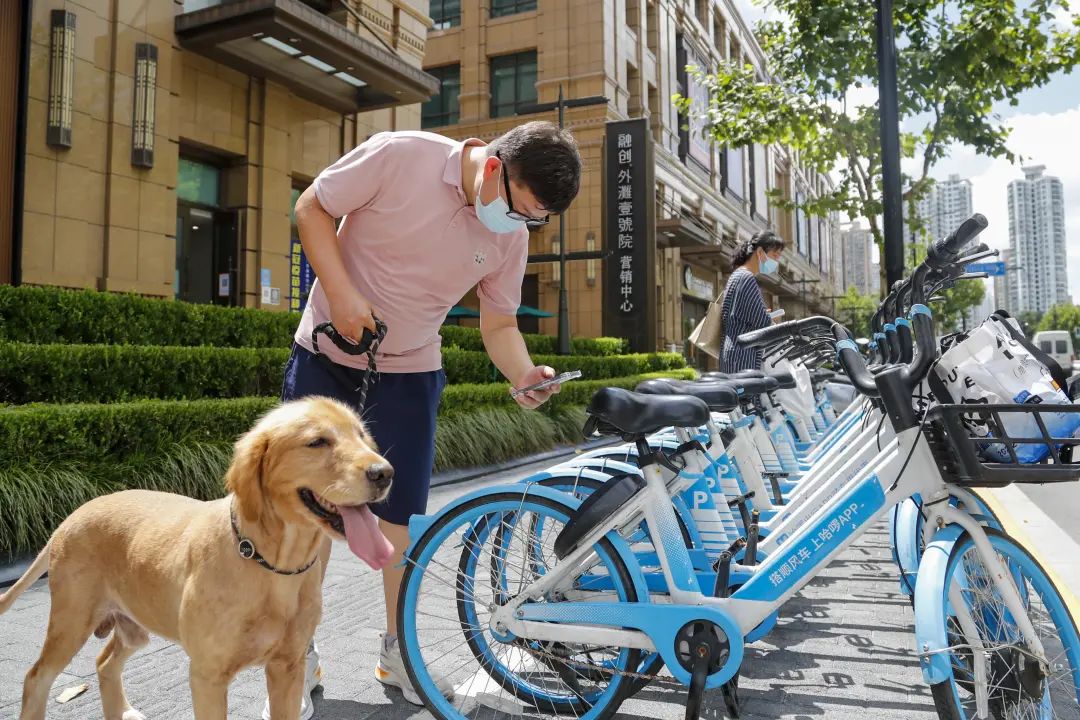 七夕骑哈啰单车,有机会偶遇撒"狗粮"