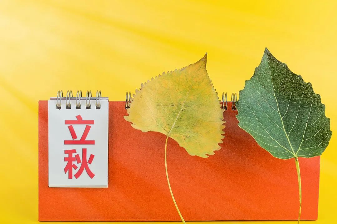 4条养生关键词,帮您开启健康的秋季「跟上时间的步伐调养身体」 4条养生关键词,帮您开启健康的秋季「跟上时间的步伐调养身体」