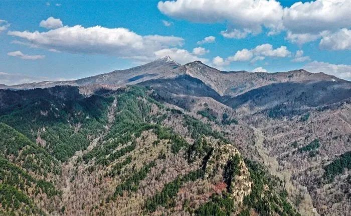 大美山西吕梁关帝山林海