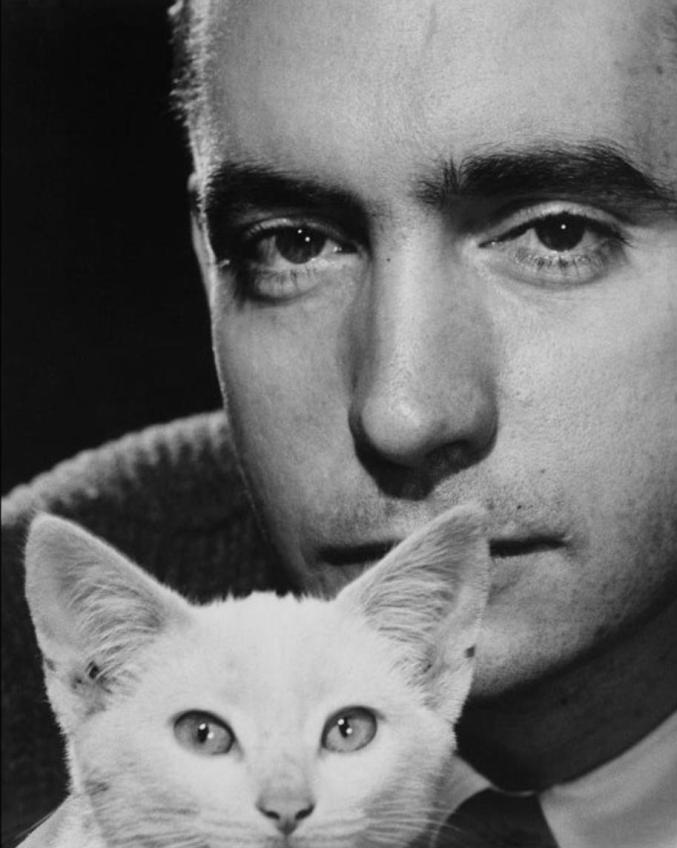 halsman)为美国剧作家爱德华·阿尔比(edward albee)拍摄的肖像